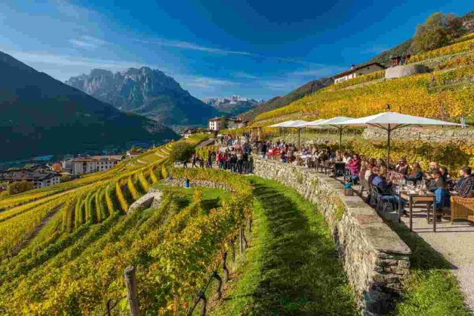 Scopri la verticalità delle Valli di Cembra e Fiemme con Dolo-vini-miti