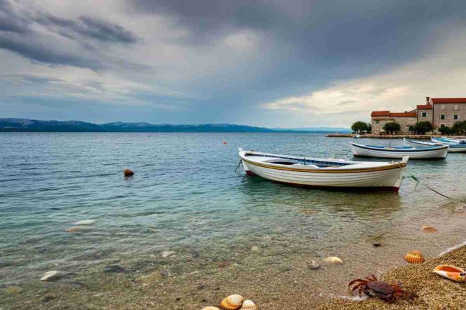 Strage di vongole in Adriatico: i pescatori avvertono, solo gusci vuoti restano