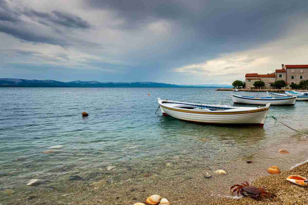 Strage di vongole in Adriatico: i pescatori avvertono, solo gusci vuoti restano
