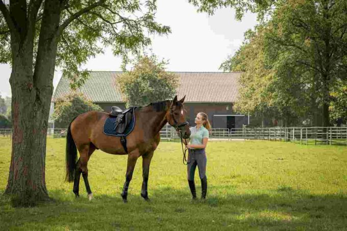 Tragedia in cascina: giovane di 24 anni perde la vita in un incidente a cavallo nel Biellese