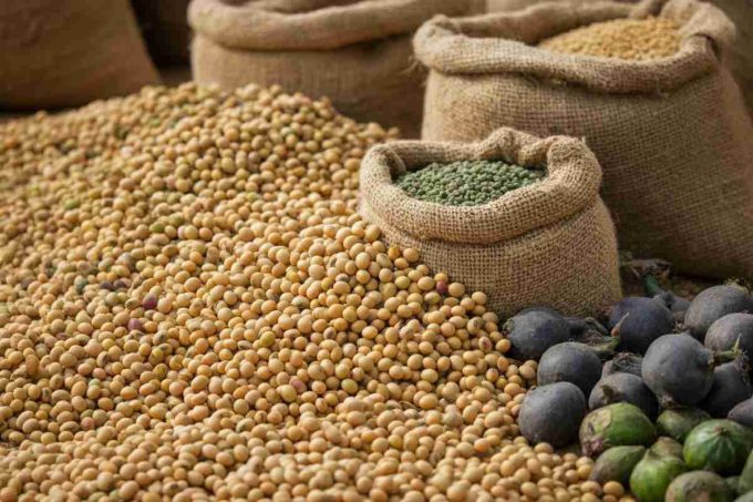 Bessent svela l'intesa con la Cina: soia, terre rare e TikTok al centro del dialogo