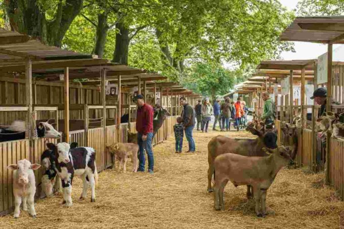 Frosinone accoglie di nuovo Animali in Fiera: un evento imperdibile per gli amanti degli animali