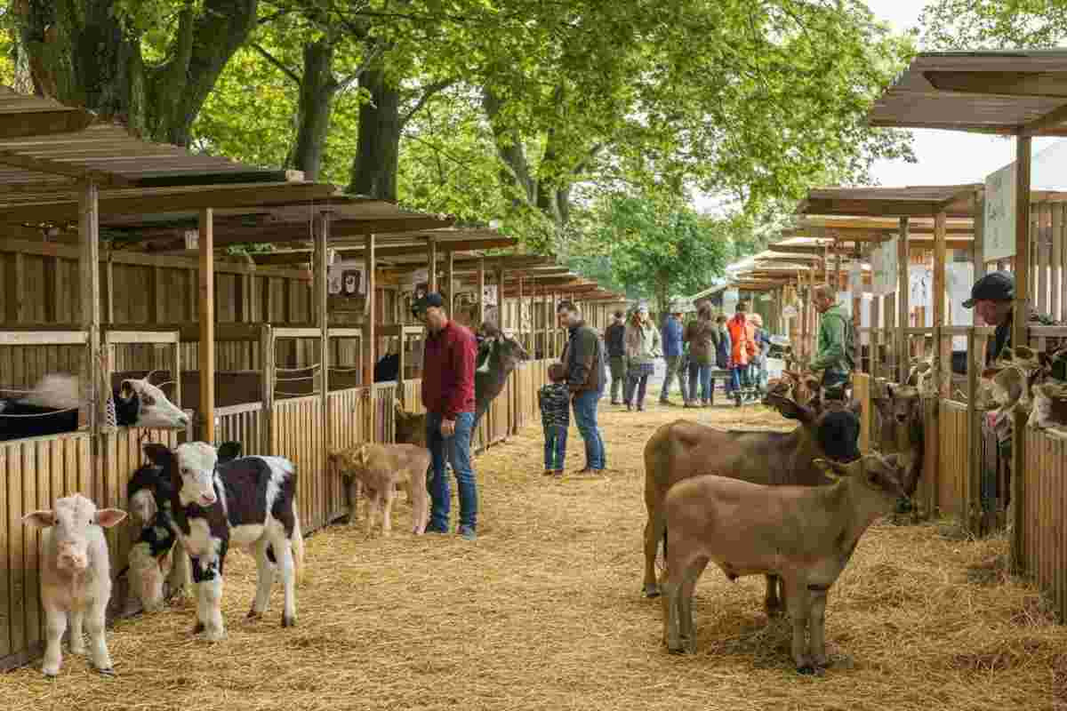 Frosinone accoglie di nuovo Animali in Fiera: un evento imperdibile per gli amanti degli animali