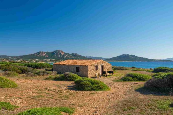 Milani: una commedia che celebra dignità e coraggio nella vita quotidiana