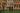 Monet e Venezia: un viaggio visivo che sfida la bellezza a New York