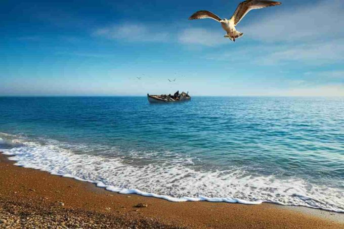 Tragedia in mare: naufragio al largo della Tunisia, 40 vittime e 30 sopravvissuti