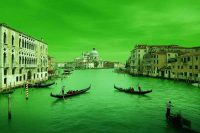 Il Canal Grande di Venezia si tinge di verde: un fenomeno sorprendente