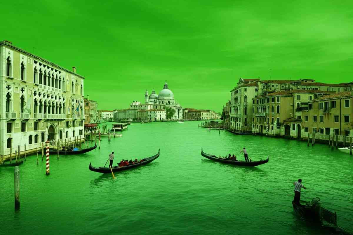 Il Canal Grande di Venezia si tinge di verde: un fenomeno sorprendente