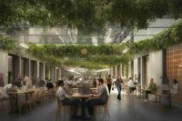 Lega propone una flat tax al 5% per i giovani: una manovra rivoluzionaria?