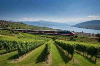 Scopri i sapori della Lombardia: un viaggio in treno con 'Fuori Stazione'
