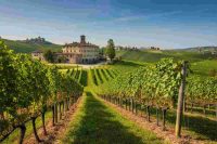 Iwb chiude l'affare: Valle Talloria passa a Caffo per 9,5 milioni