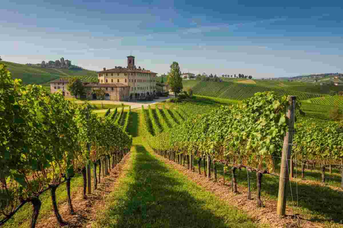 Iwb chiude l'affare: Valle Talloria passa a Caffo per 9,5 milioni