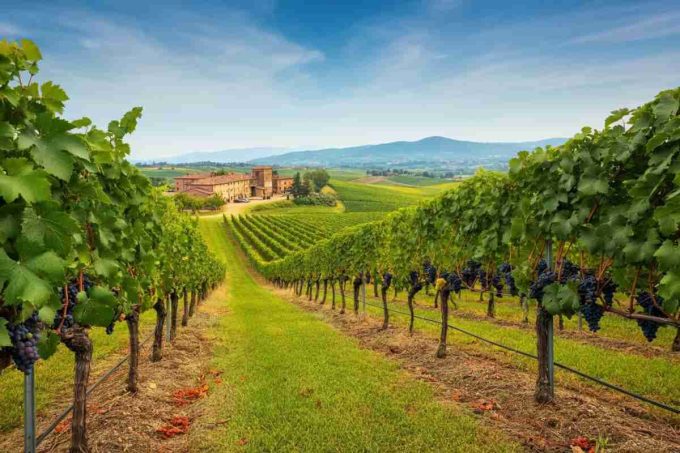 Prosecco inimitabile: Moretti Polegato rassicura sul futuro dell'export