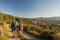 Zalone in cerca della figlia: il trailer di Buen Camino svela emozioni e avventure