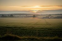 Arrestato il sospetto killer di un omicidio nel Veneziano: i dettagli shock