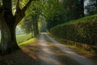 Il mistero di Annabella Martinelli: addio, messaggi segreti e un cerotto sulla bocca