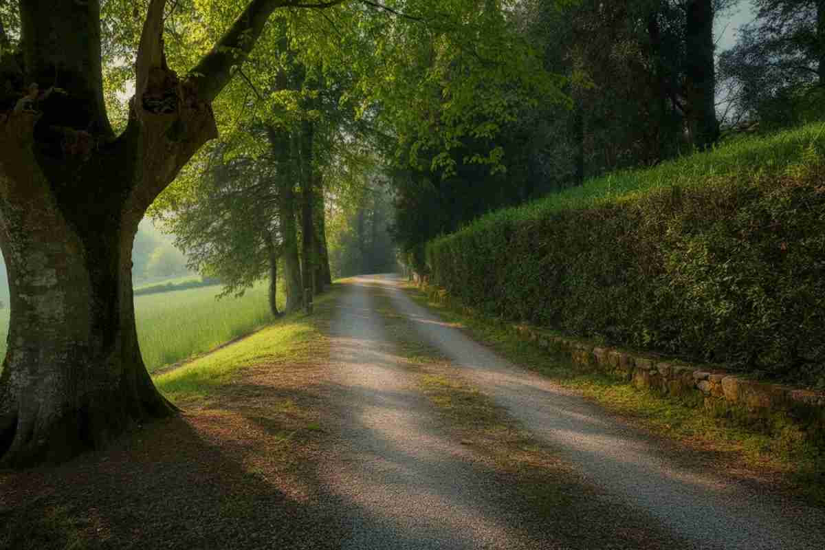 Il mistero di Annabella Martinelli: addio, messaggi segreti e un cerotto sulla bocca