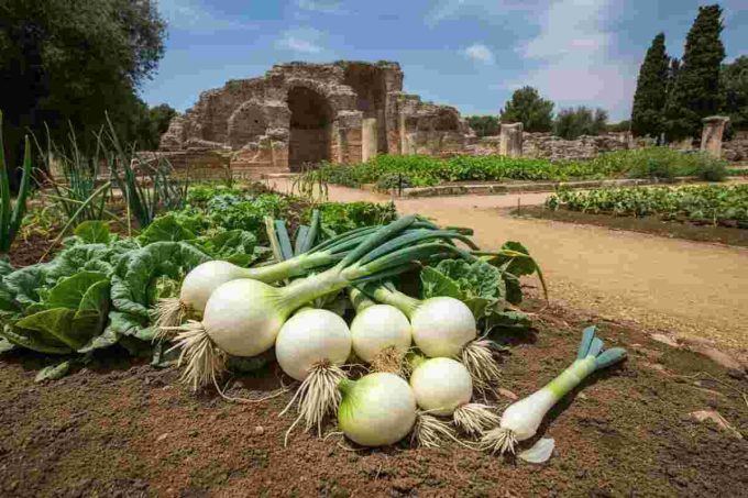Scopri l'anima green di Pompei attraverso Convivium: Sapori di Pompeii in un affascinante video