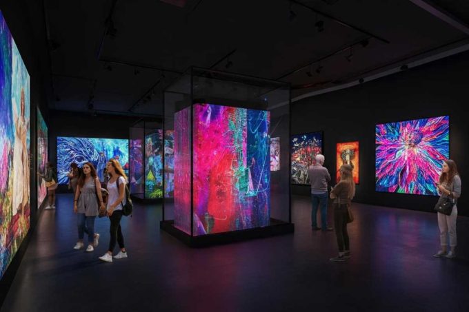 Successo straordinario: 100mila visitatori in 26 giorni alla Digital Art Gallery di Gorizia