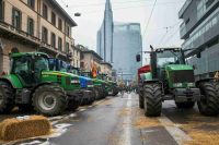 Trattori in protesta a Milano: fieno e latte contro l'accordo Ue-Mercosur