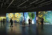 Weekend d'arte: scopri le mostre imperdibili di Deborah Hirsch e Luigi Voltolina