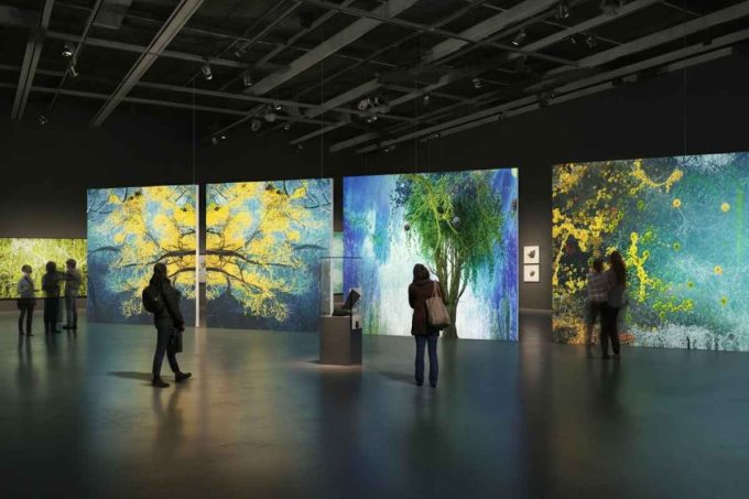 Weekend d'arte: scopri le mostre imperdibili di Deborah Hirsch e Luigi Voltolina