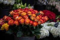 Attenzione: le rose di San Valentino potrebbero nascondere un pericolo!