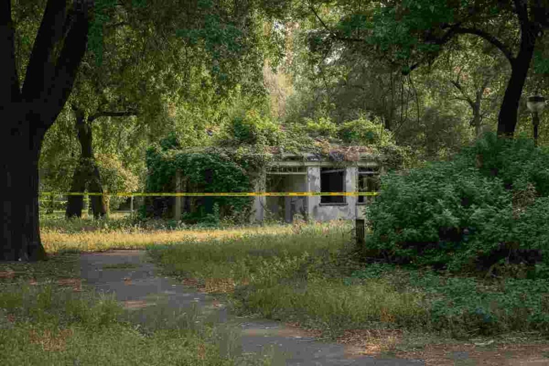 Mistero a Scandicci: trovata decapitata nell'ex area del Cnr