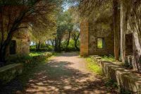 Scopri l'isola carcere di Gorgona: prenota la tua visita ora!