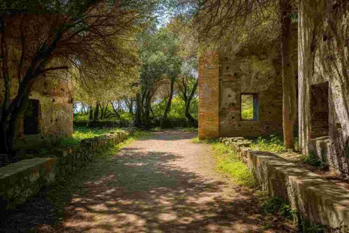 Scopri l'isola carcere di Gorgona: prenota la tua visita ora!